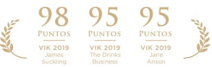 Premios VIK 2019