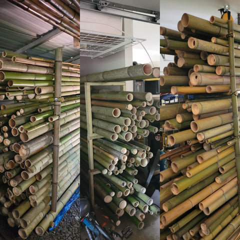 Bamboo Poles in racks drying