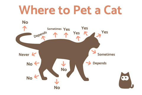 Where to pet a cat