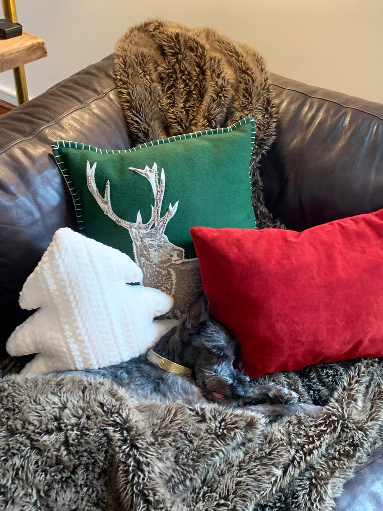 Living Room Holiday PILLOW Ideas - The Apartment at Cactus Creek - December 2023