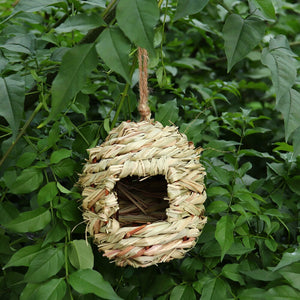 Buy Natural Bird Nest Online In India India, 54% OFF