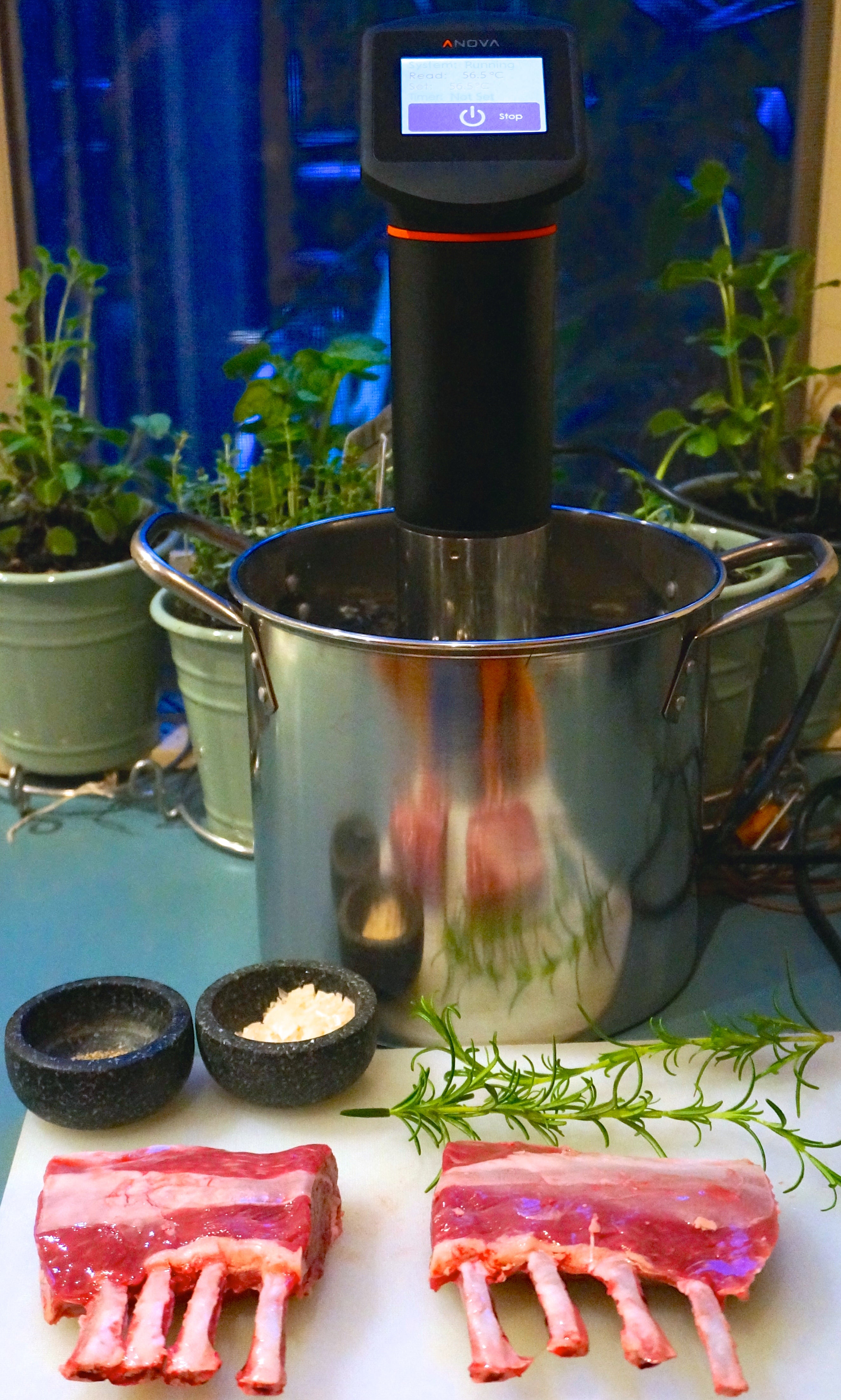 How to Sous Vide Like a Chef