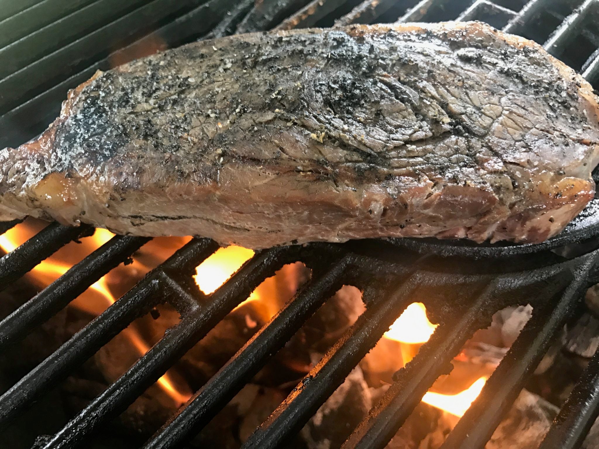 Comprehensive Guide to Outdoor Searing – Anova Culinary