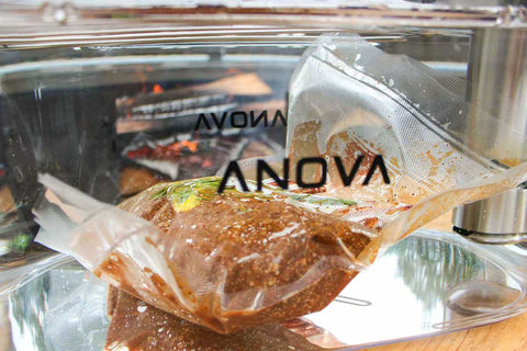 anova sous vide