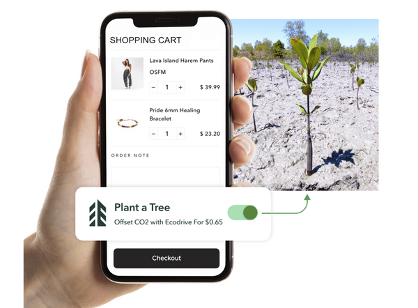 EcoDrive plant a tree to off set carbon emissions from your online order