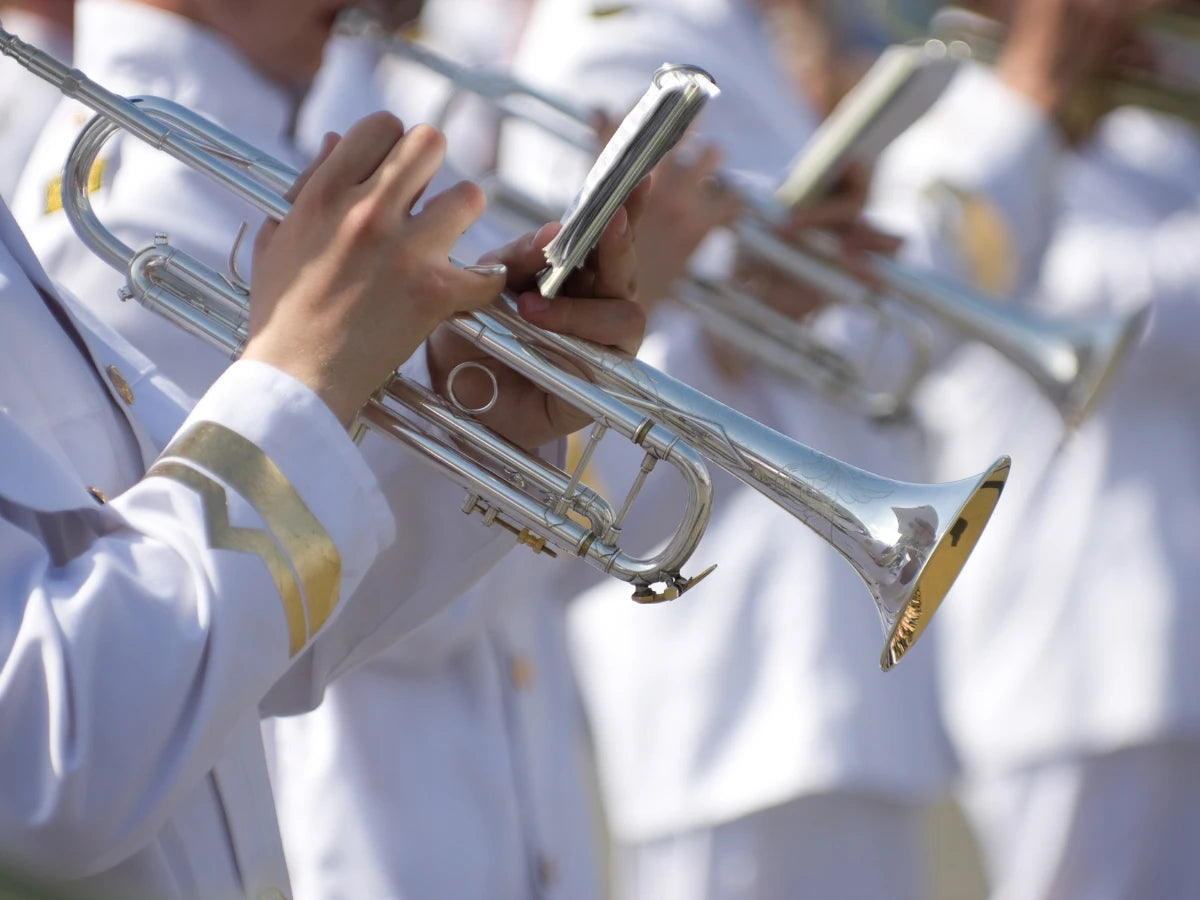 la legione in marcia