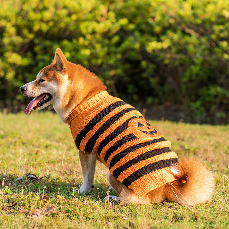 Cozy Halloween Sweater