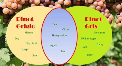 A Taste Test_ Pinot Gris vs Pinot Grigio