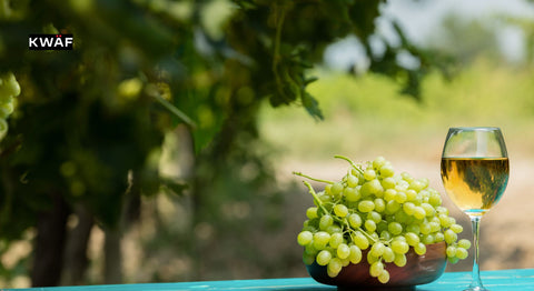 Discover the Rich History and Flavors of Trebbiano Wine