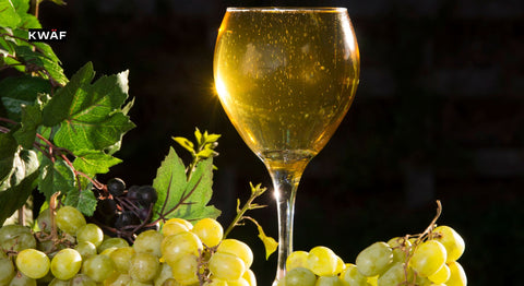 Exploring the History of Sparkling Wine in Spain