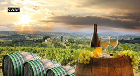From Sangiovese to Sip_ Exploring the Delights of Chianti Wine