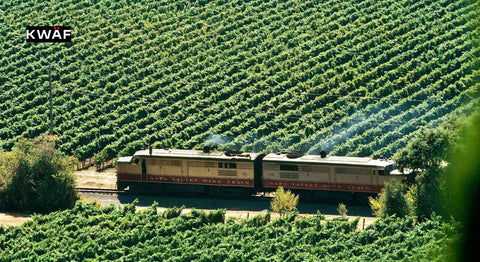 Indulge in Elegance_ Napa Valley Wine Train Experience