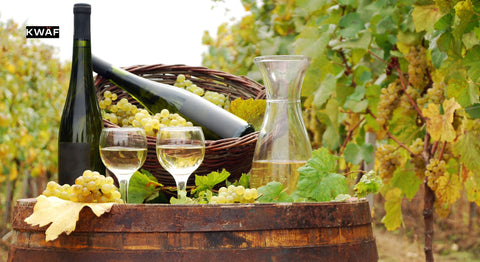 Top Health Benefits of Red Wine vs White Wine in 2024