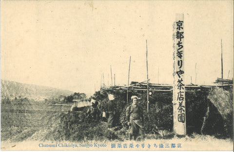 Chikiriya tea plantation - beginning of 20th century