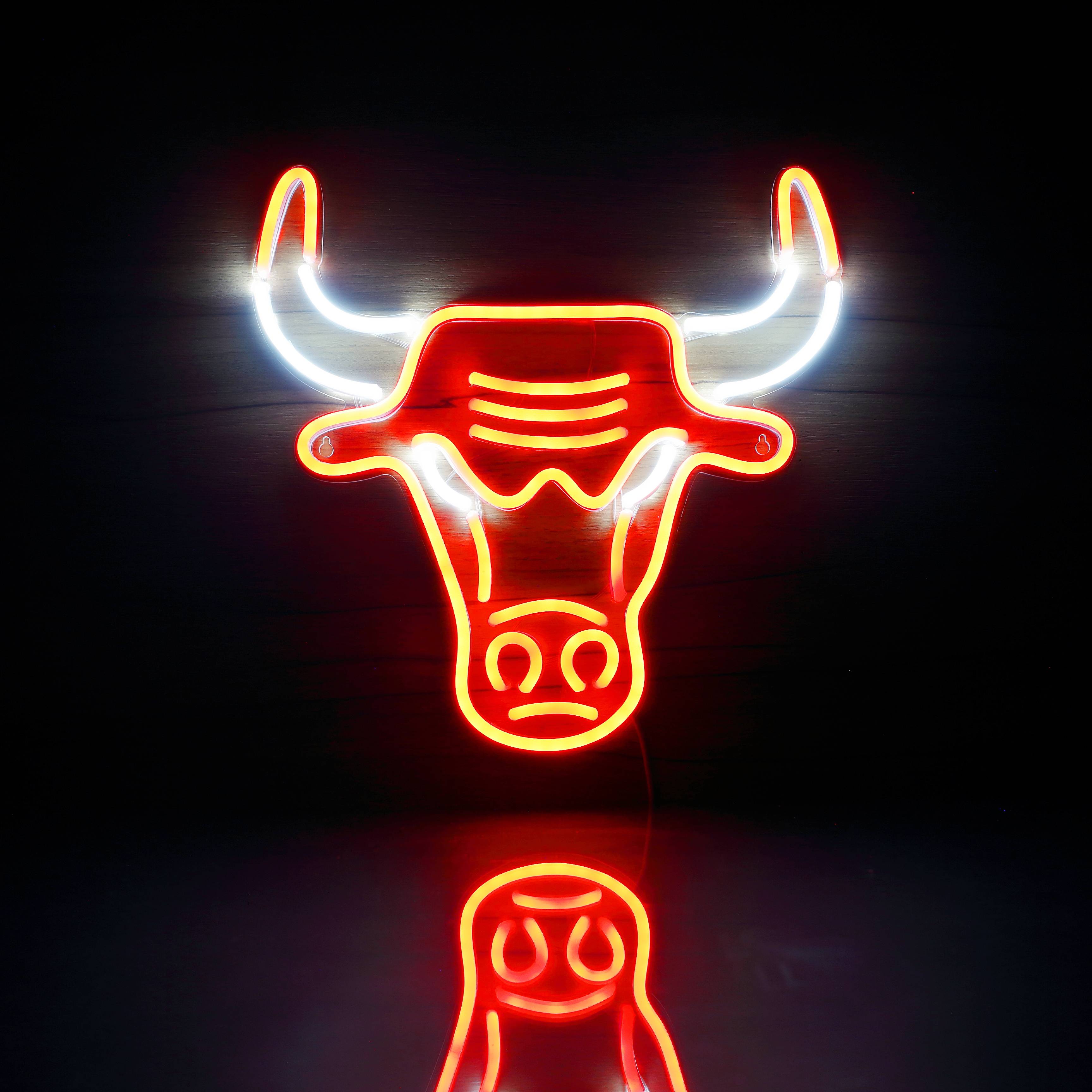 chicago bulls neon light