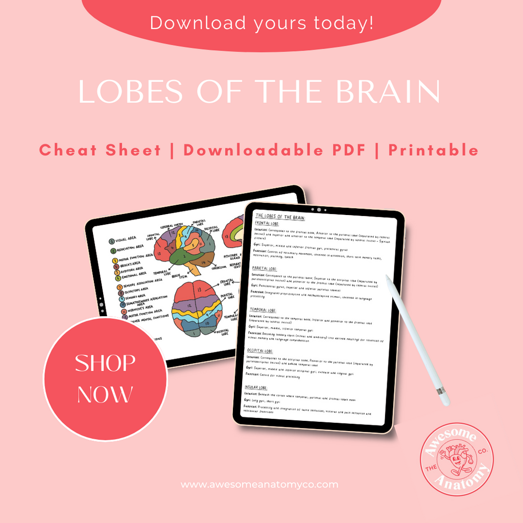 Cheat Sheets” for PDF, for free! – PDF Association