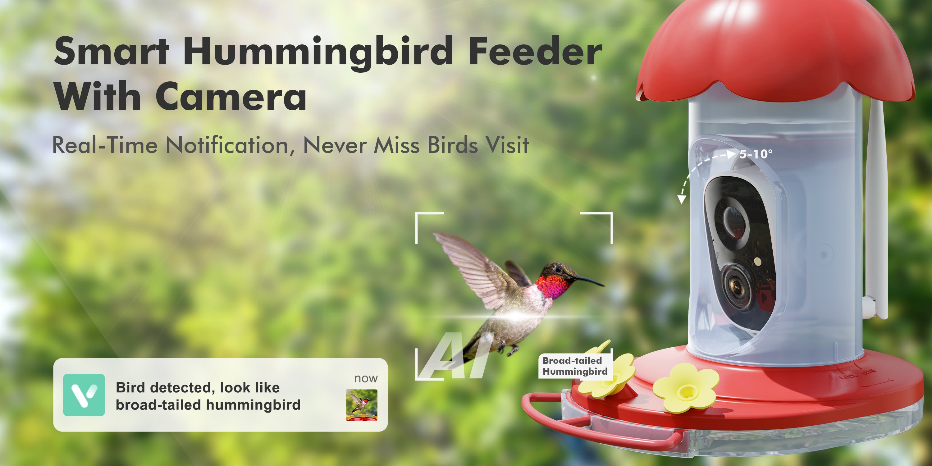 Smart Hummingbird Feeder Camera Bird Watching Camera Kit Auto Record Videos For Hummer Lover Dzees G04