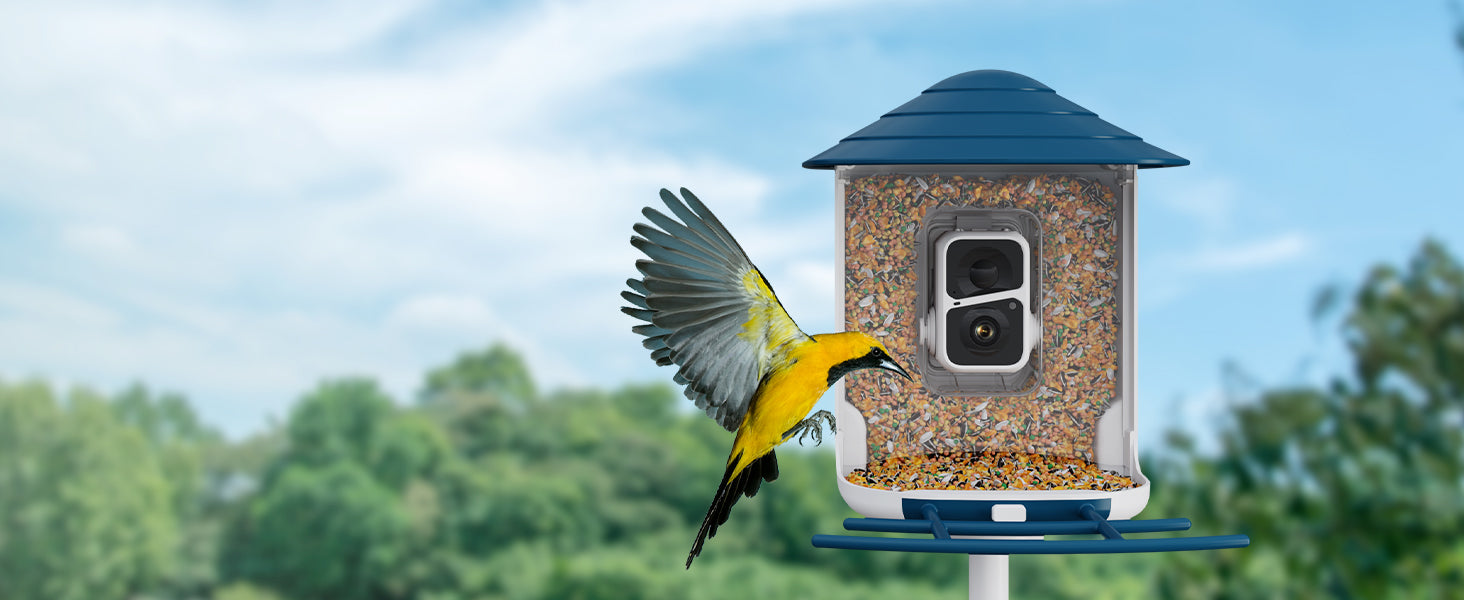 Dzees-V5-Bird-Feeder