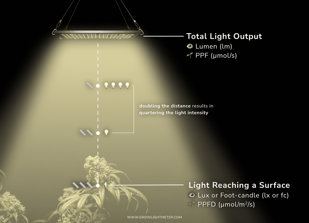 cannabis grow light PPFD