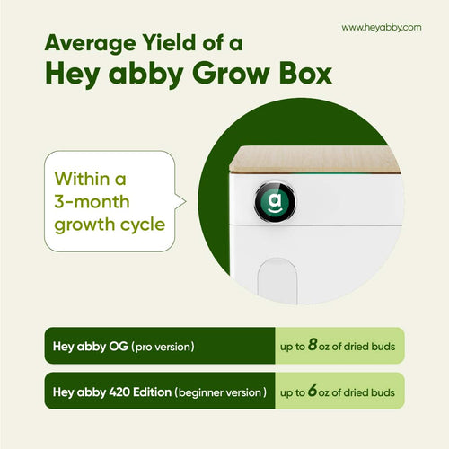 hey abby grow box cannabis yield