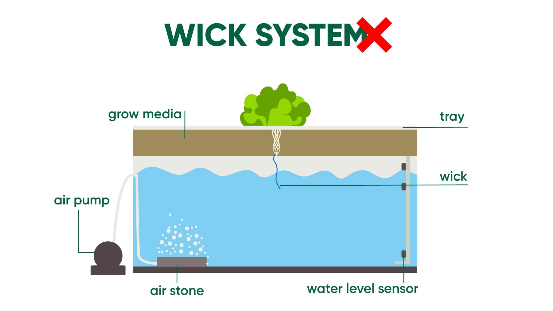 Hey abby soil edition first trial - wick system.jpeg__PID:9b1a13d9-7cca-42ab-88be-c3a0e96d1a47