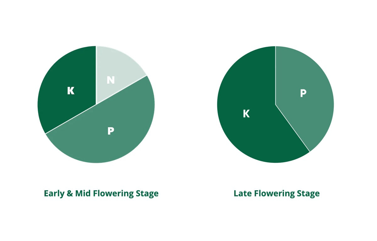Recommended Nutrient Ratio for the Flowering Stage