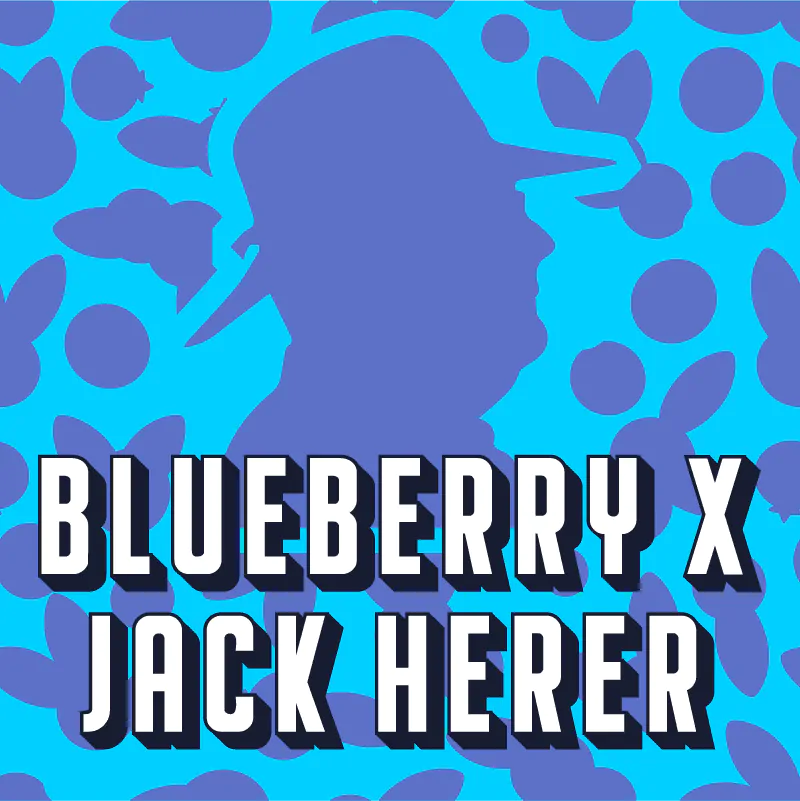 blueberry x jack herer autoflowering seed