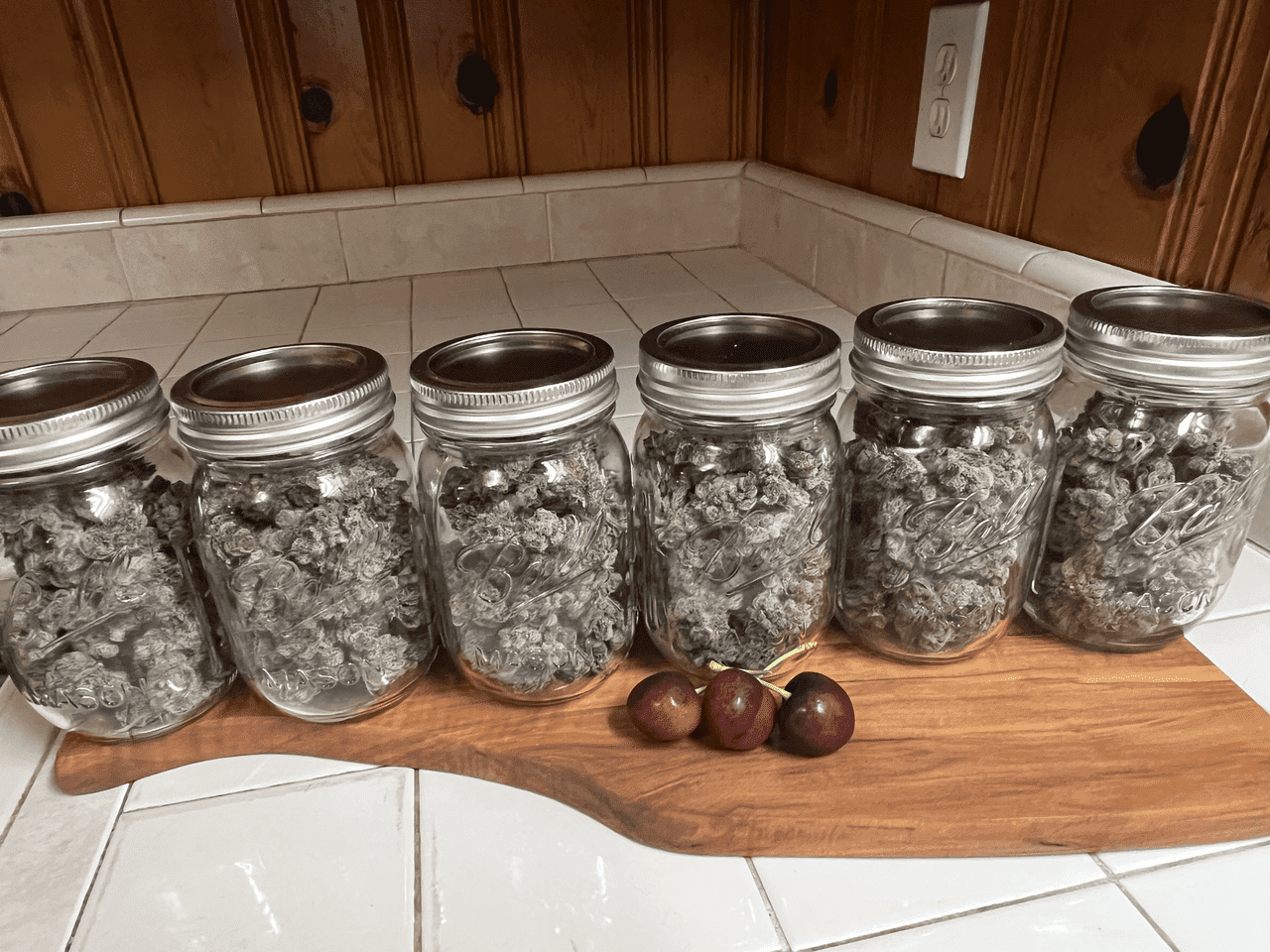 cannabis curing