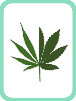 cannabis hybrid strain