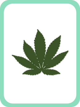 cannabis indica strain