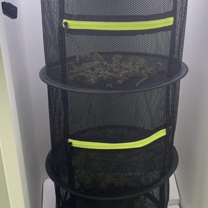 Cannabis Drying Trays: What's the Best For Buds? - Omega Equipment & Supply  Blog