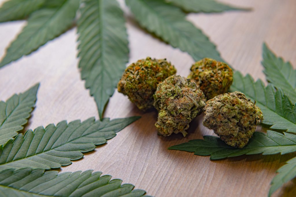 best strains for cannabis micro grow