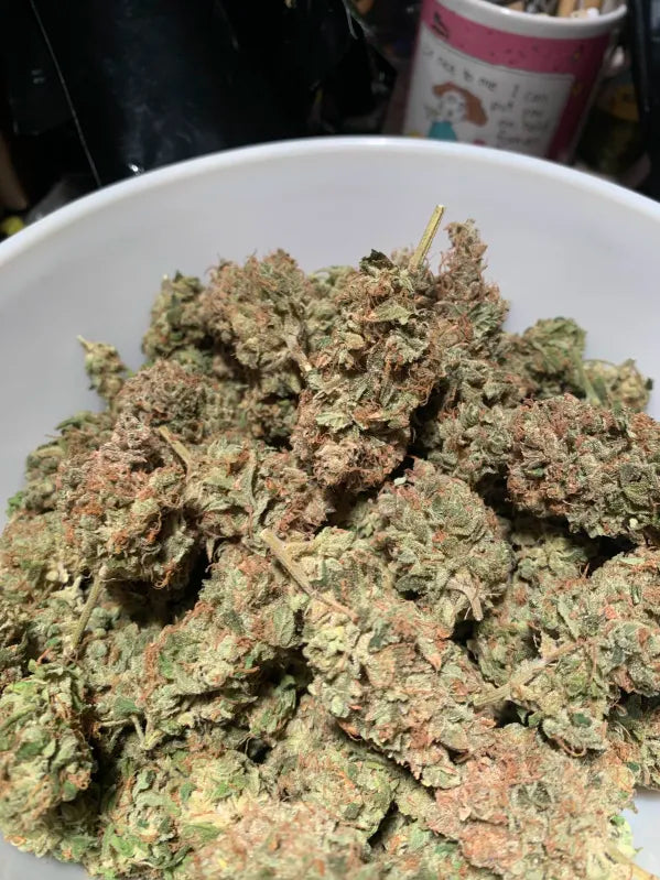 gumbo strain harvested from hey abby grow box