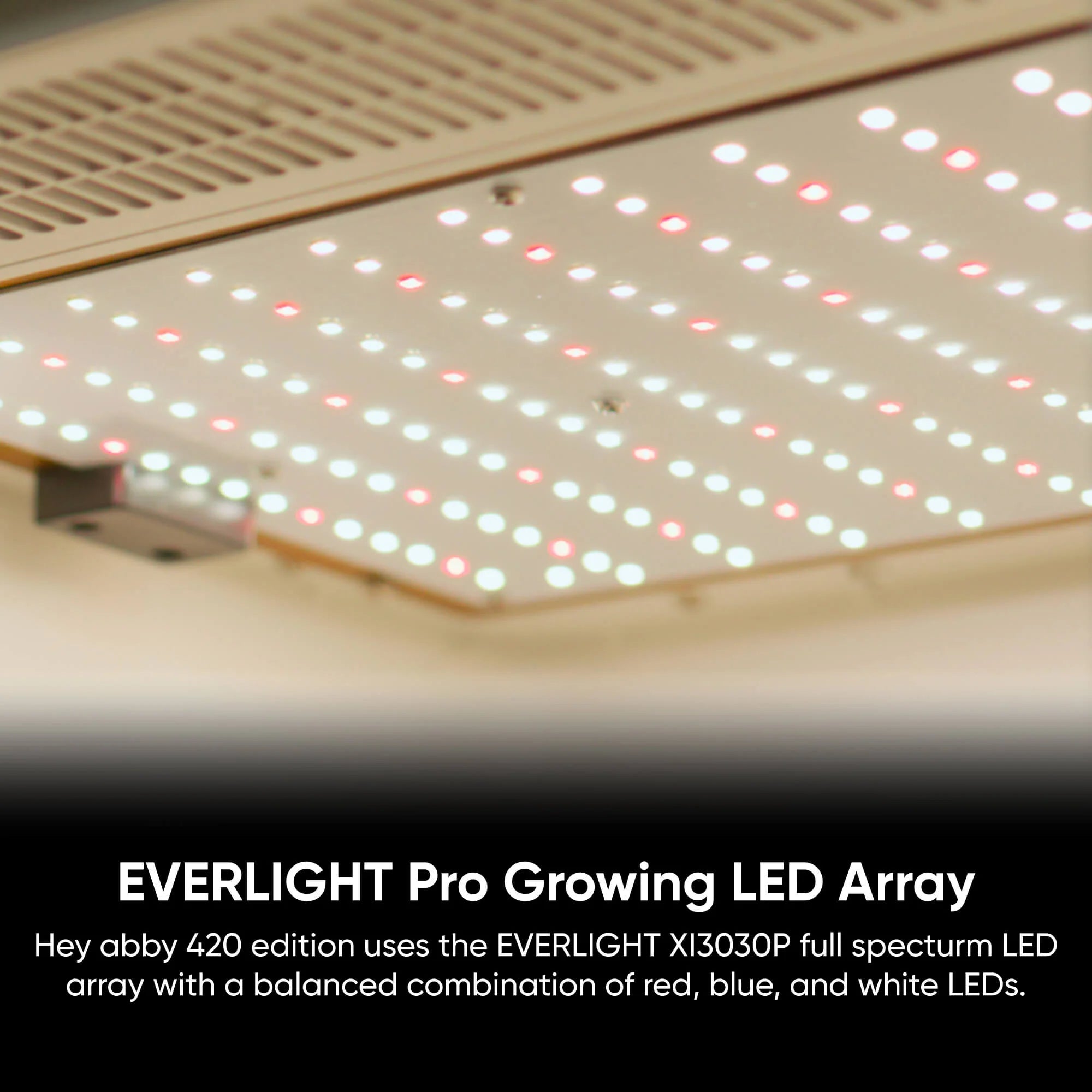 hey abby 420 edition Everlight LED grow light