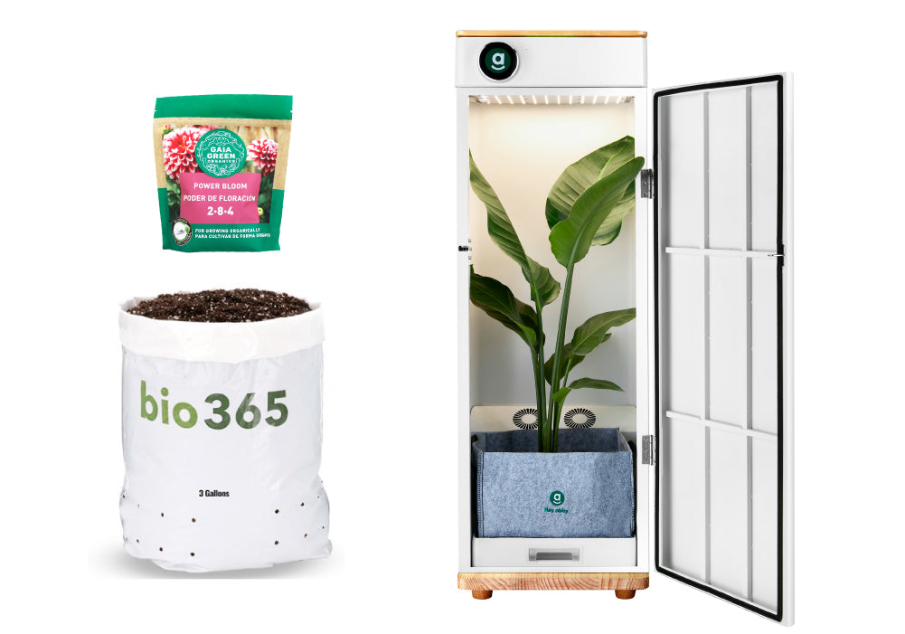 hey abby soil edition + bio 365 soil + Bloom Boost bundle deal
