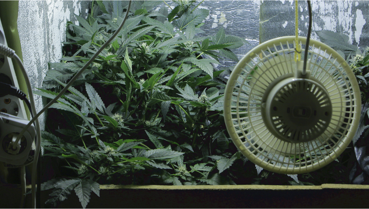 how to set up ventilation in a grow tent