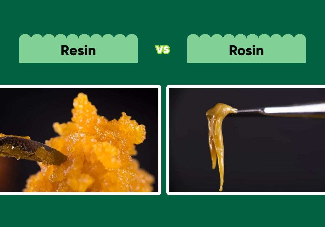 resin vs rosin