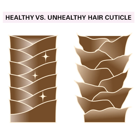 healthy vs unhealthy hair cuticle