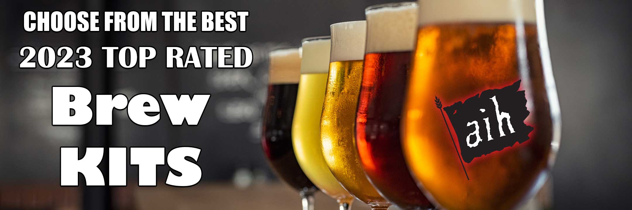 Choose from Our Top Rated Most Popular Beer Recipe Kits of 2023