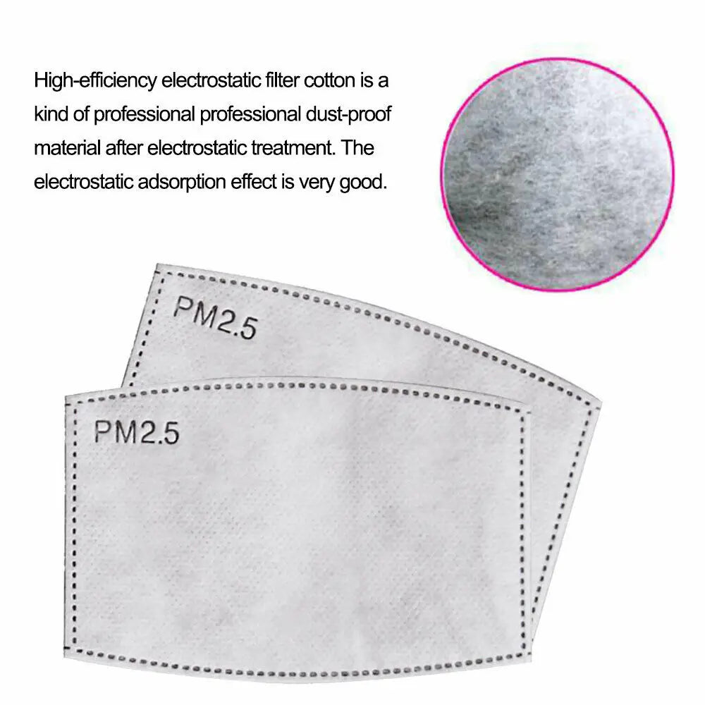 1pcs Pm2.5 P2 Face Mask Filter Activated Carbon Breathing