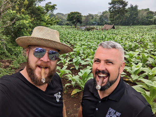 Paul (left) & Andrius (right) in tobacco field