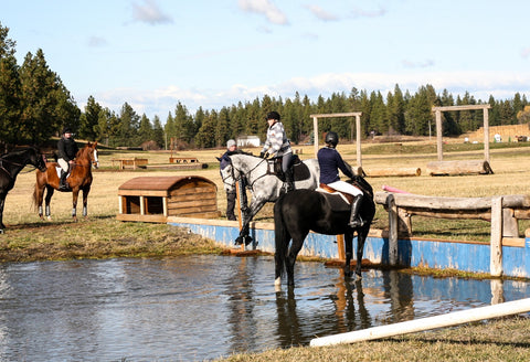 Spokane Sport Horse Cross Country