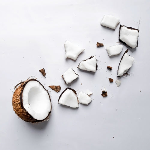 Coconut plant pieces spread across white surface