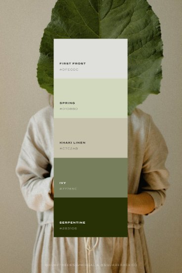 Five Nature-Inspired Colour Palettes For Your Brand by Squarebase - Squarespace Template Kits, Canva Templates and Logo Kits