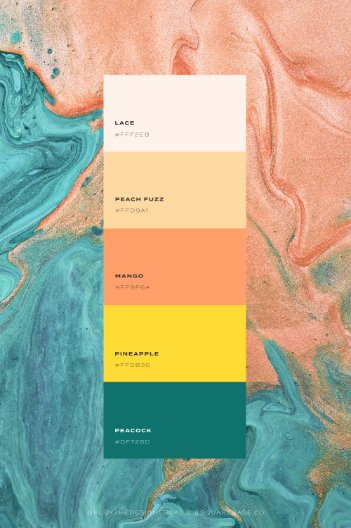 Bright Colour Palettes To Use on Your Squarespace Website | by Squarebase, Premium Squarespace Template Kirs