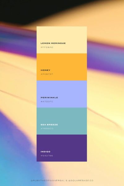 Bright Colour Palettes To Use on Your Squarespace Website | by Squarebase, Premium Squarespace Template Kirs