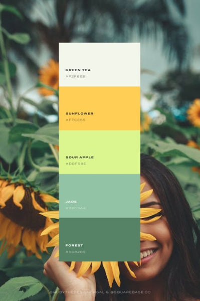 Bright Colour Palettes To Use on Your Squarespace Website | by Squarebase, Premium Squarespace Template Kirs