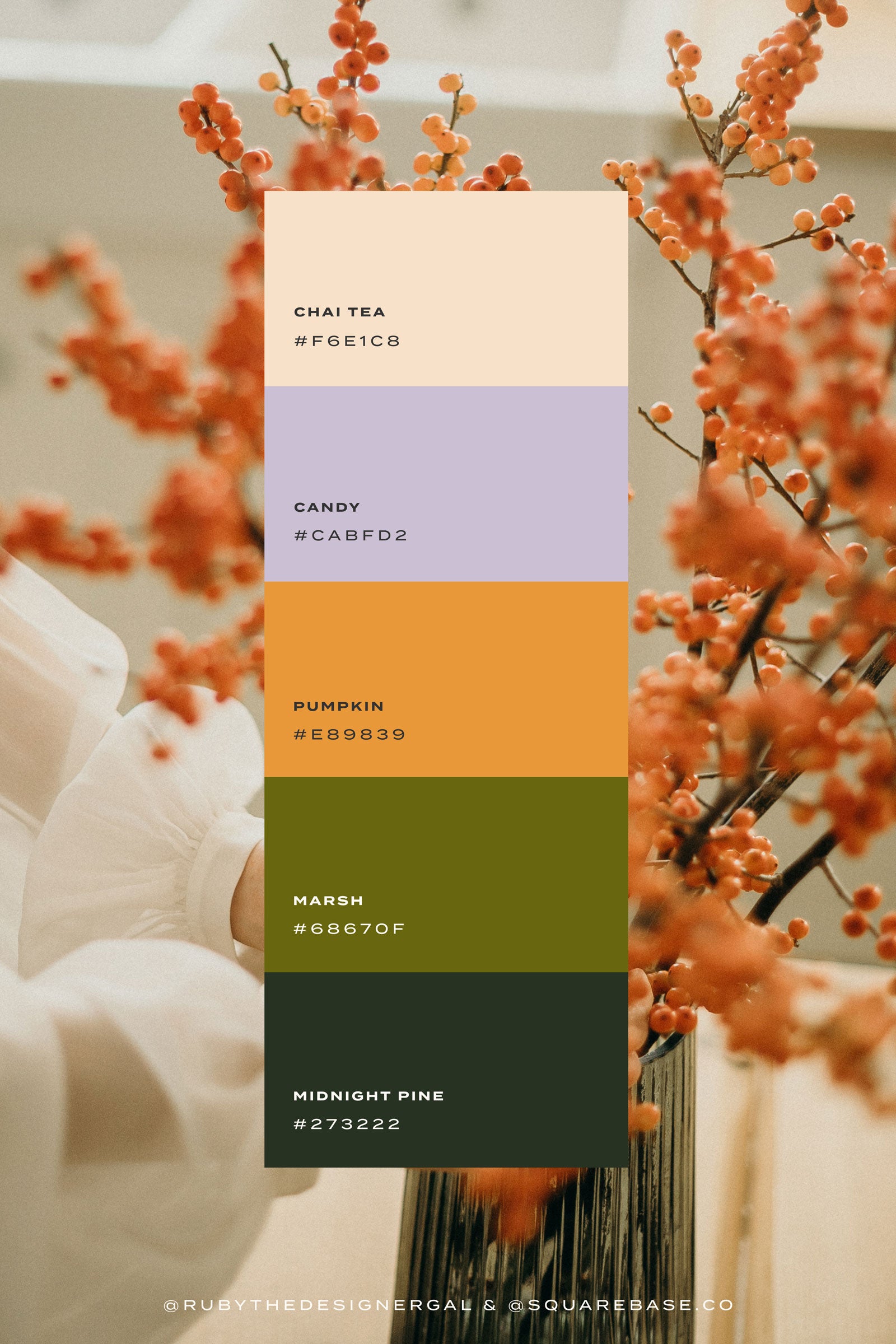 Autumnal Fall Colour Palettes for your Squarespace Brand and Website created by London Design Studio, Studio 77