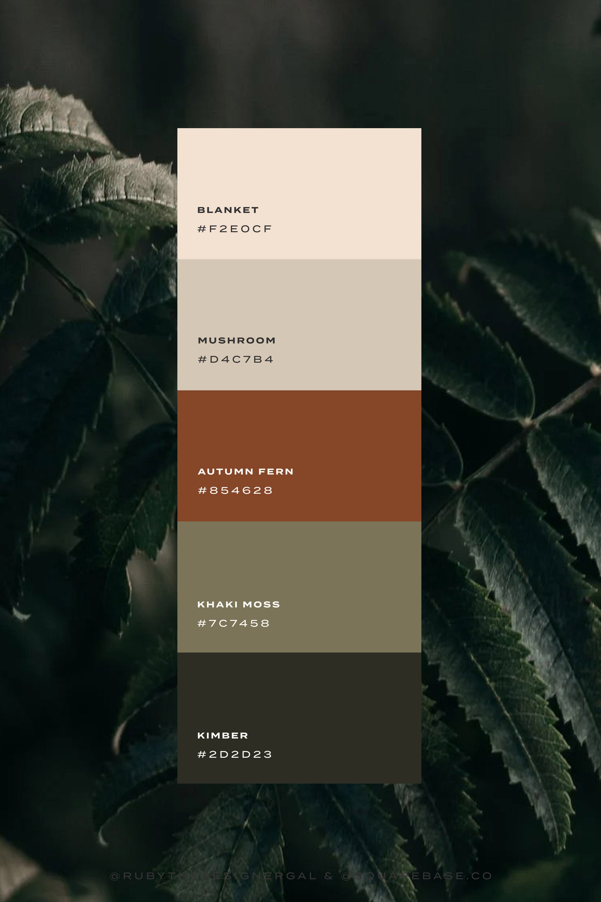 Autumnal Fall Colour Palettes for your Squarespace Brand and Website created by London Design Studio, Studio 77