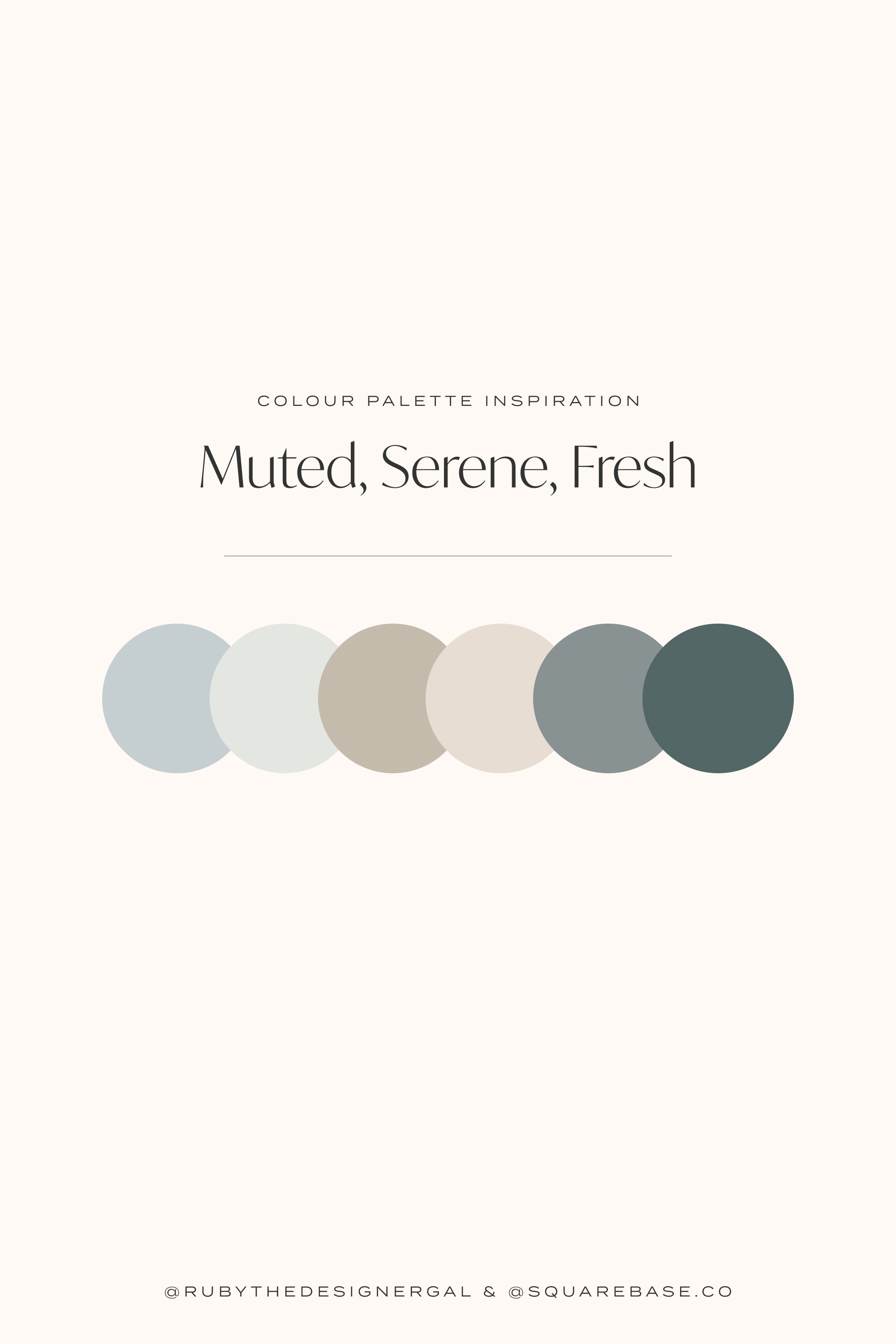 Muted and sophisticated colour palettes for your brand or squarespace website | Brand Design